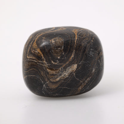 Stromatolite Tumbled Crystals - Harnessing Change & Eternal Knowledge - Juniper Stones