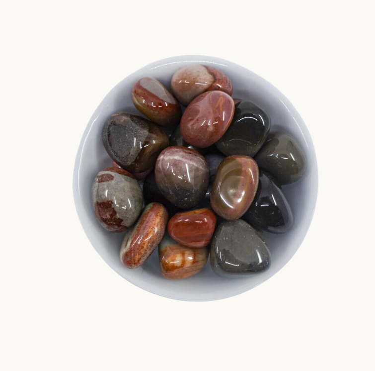 Polychrome Jasper Tumbled Crystals - Action, Creativity & Grounding - Juniper Stones