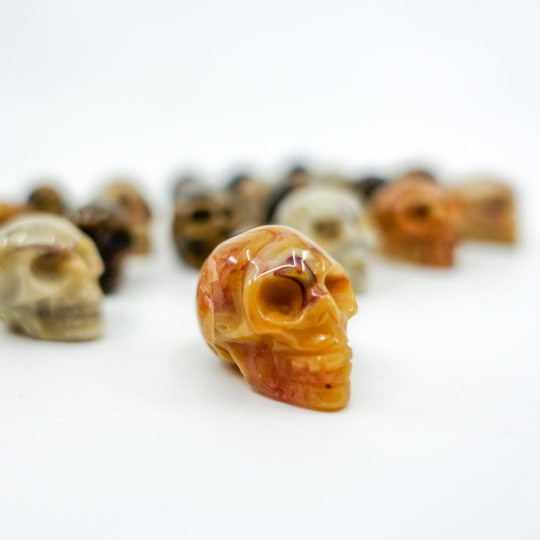 Mini Crystal Skulls Assorted Stones - 1" x 0.5" - Intuitively Chosen