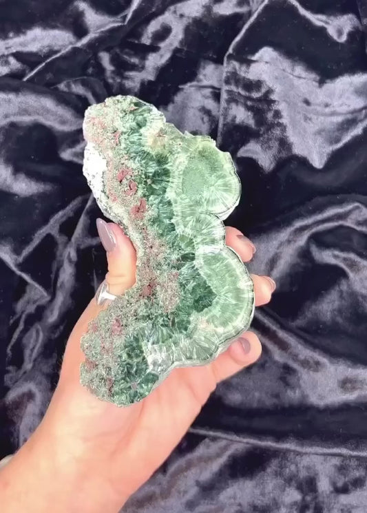 Seraphinite Slice A++