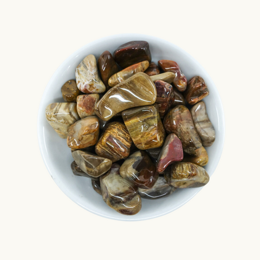 Petrified Wood Tumbled Crystals - Transformation & Inner Security - Juniper Stones