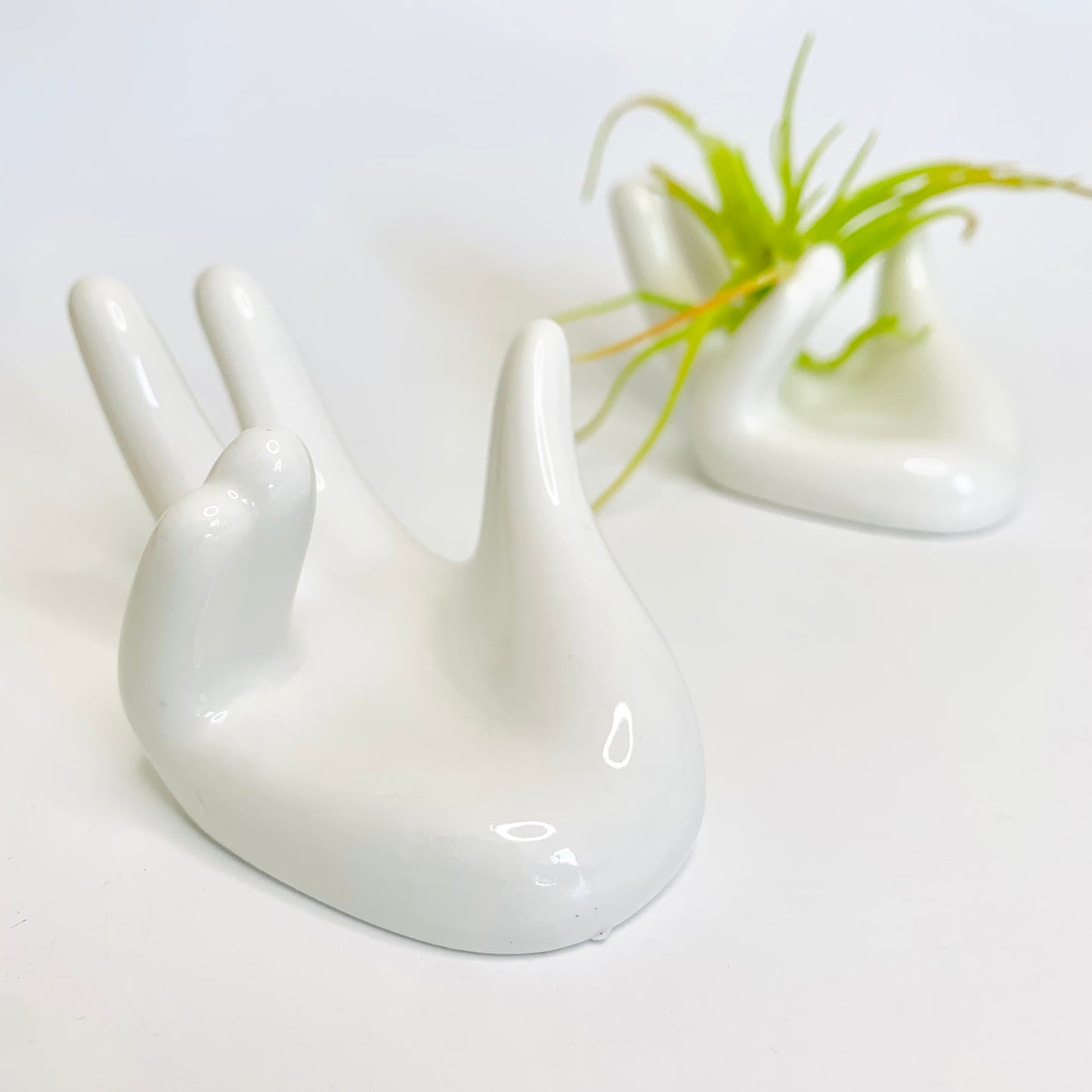 Ceramic Hand Display