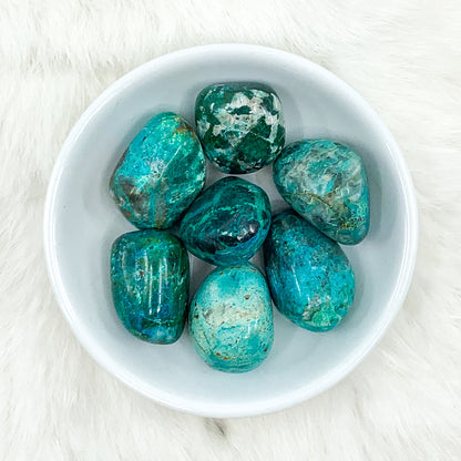 Chrysocolla Tumbled